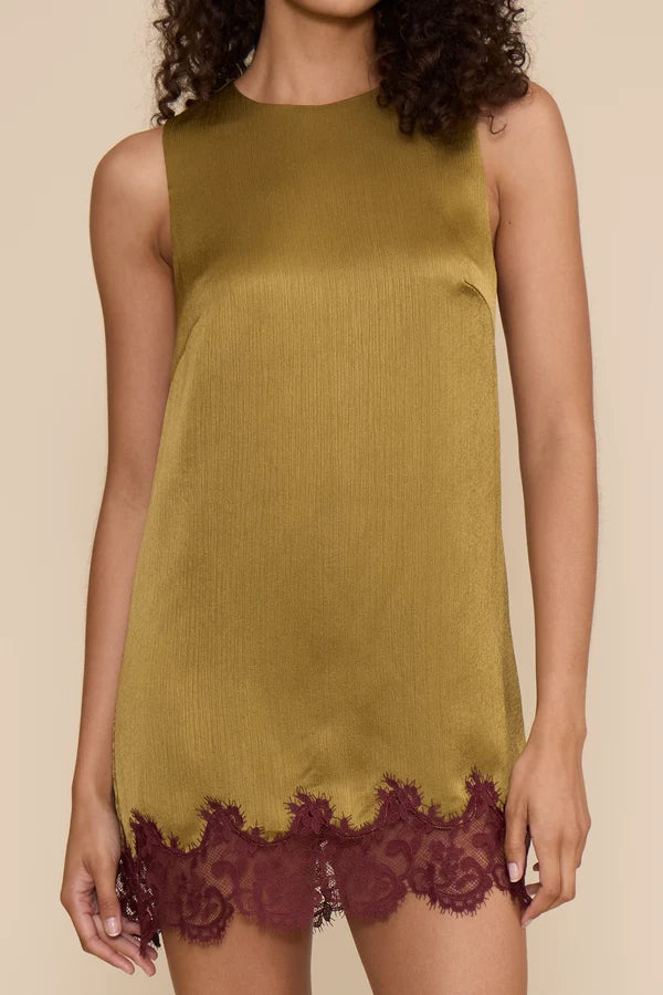 Lucy Paris Roxy Lace Hem Dress